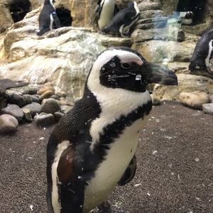 Meet your Posher, Esther